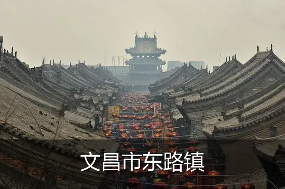 文昌市东路镇